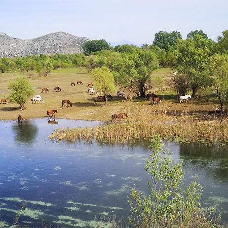 Wild Beauty House Skadar Lake Cetinje Esterno foto
