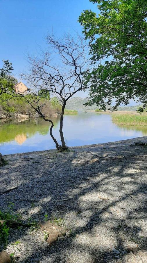 Wild Beauty House Skadar Lake Cetinje Esterno foto