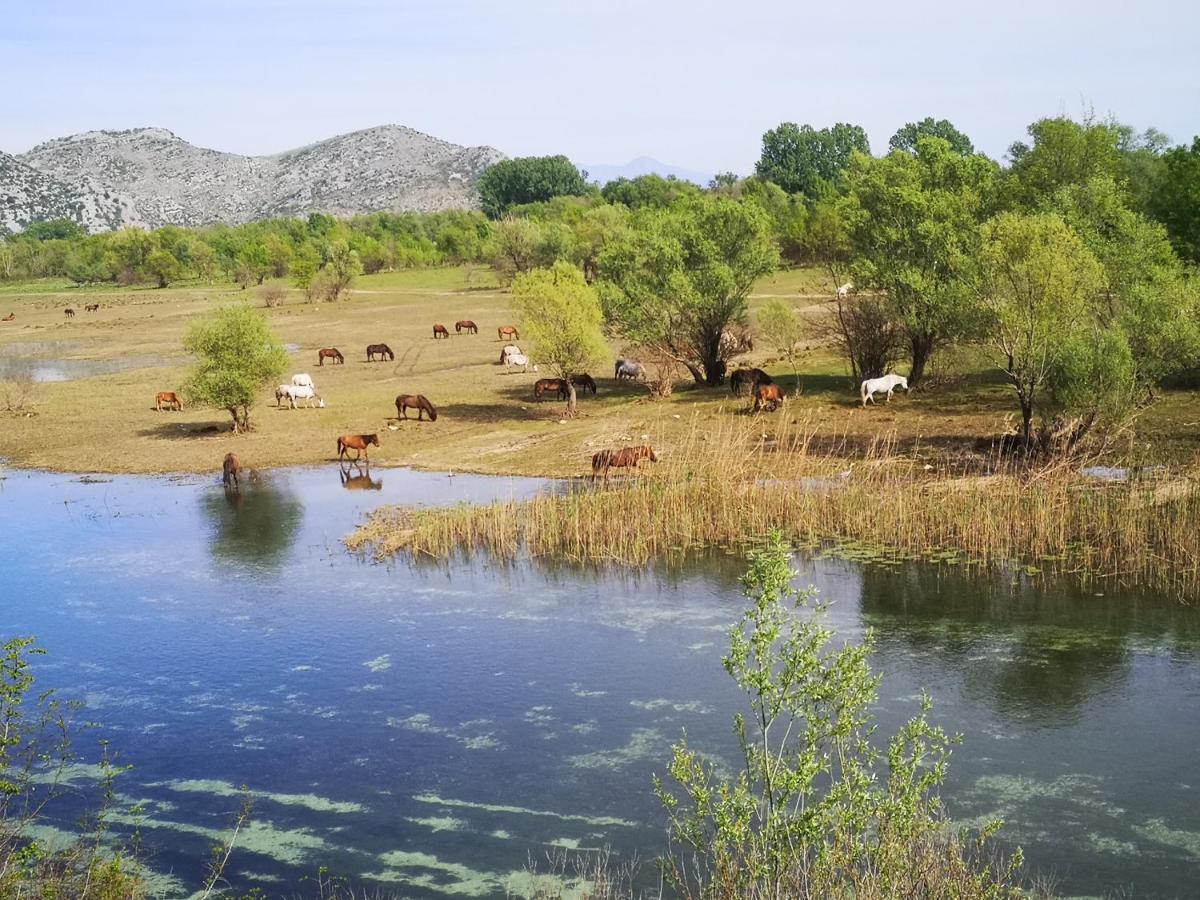 Wild Beauty House Skadar Lake Cetinje Esterno foto